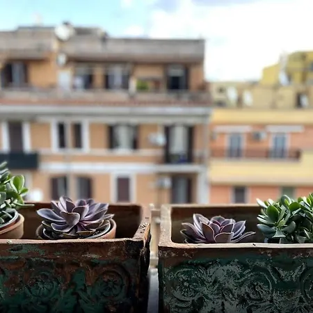 Casa Vivi Daire Roma